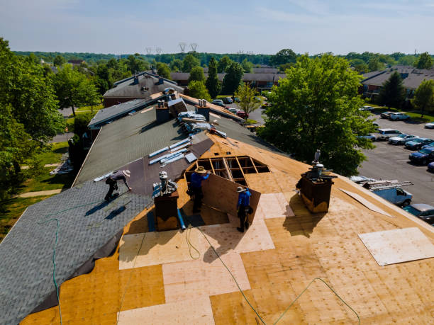 Fort Polk South, LA Roofing Contractor Company