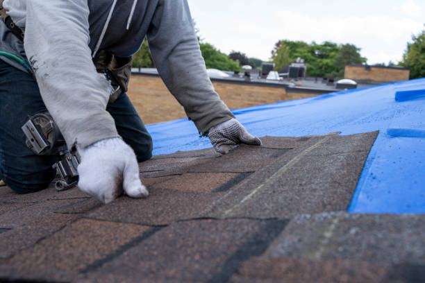 Best Local Roofing Companies  in Fort Polk South, LA